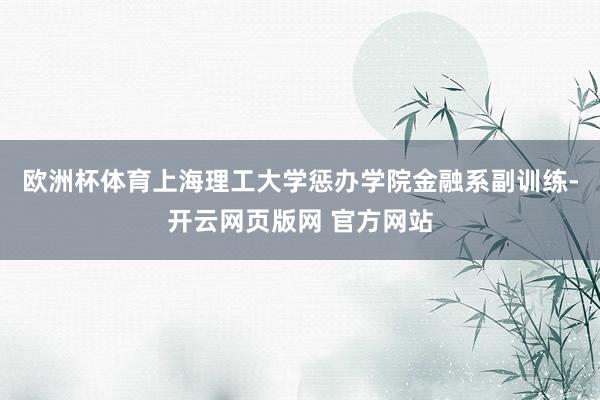 欧洲杯体育上海理工大学惩办学院金融系副训练-开云网页版网 官方网站